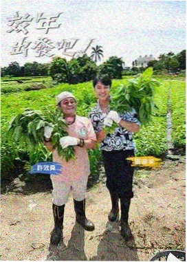 美食综艺一平米厨房的极简操作台